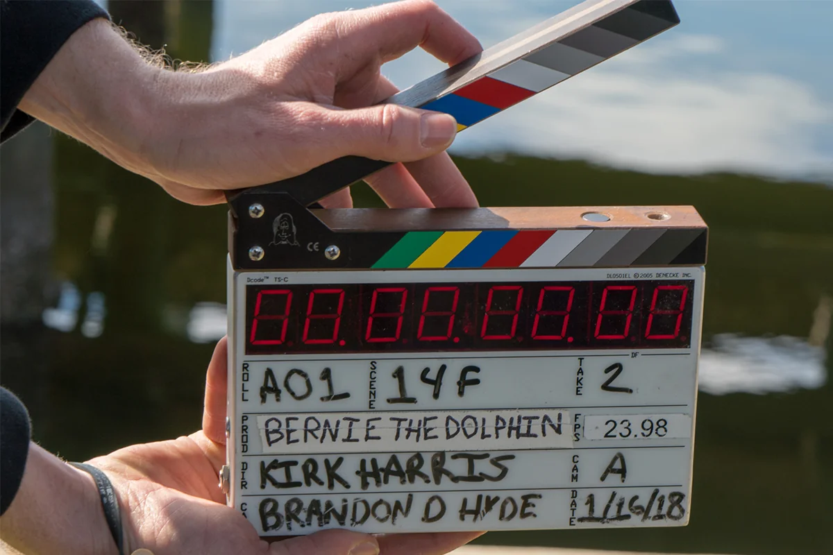 Hands hold a film clapperboard labeled "Bernie the Dolphin," scene 14F, take 2, with water in the background.